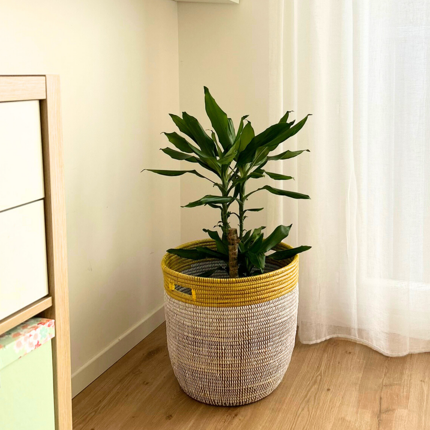 PANIER MEDIUM AWA
