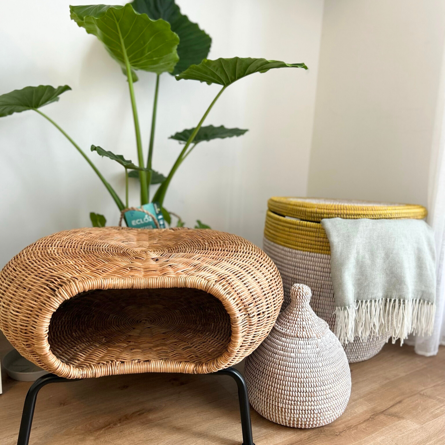 PANIER MEDIUM AWA
